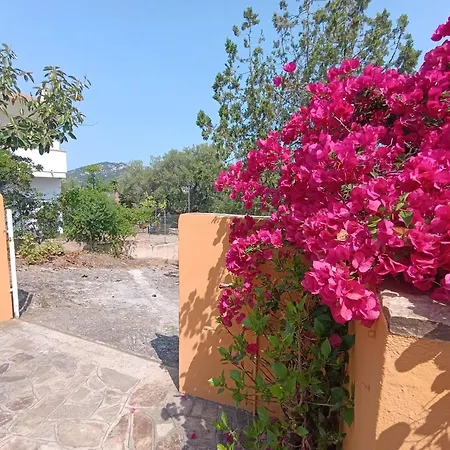Apartman Casa Li Scopi *