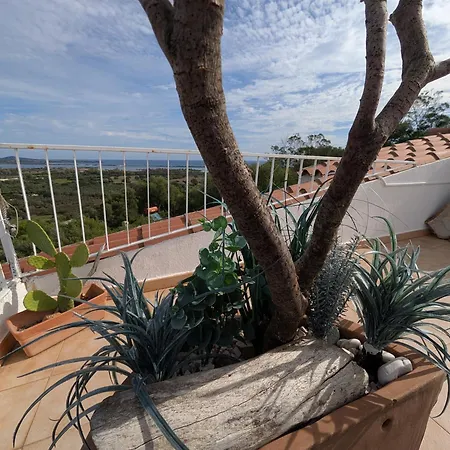 Casa Li Scopi Apartman Lu Lioni